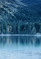 Tree Reflection in Lake 2 papiers peint