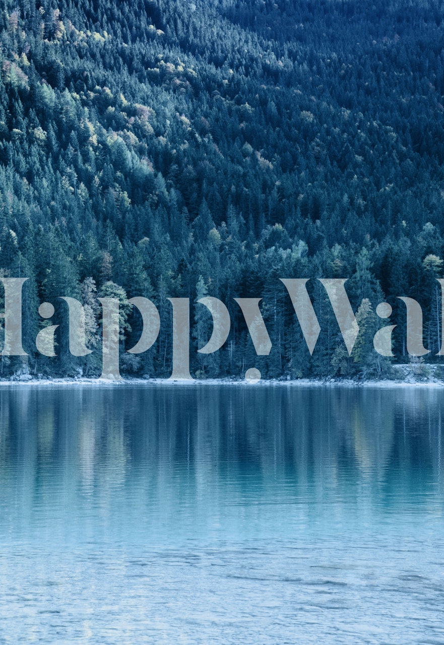 Tree reflection wallpaper in a serene room