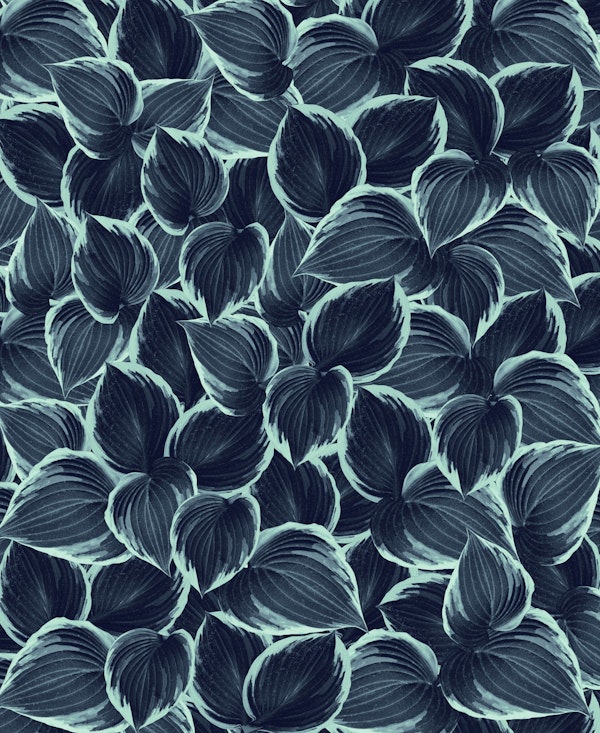 Navy Blue Leaves Dream 1