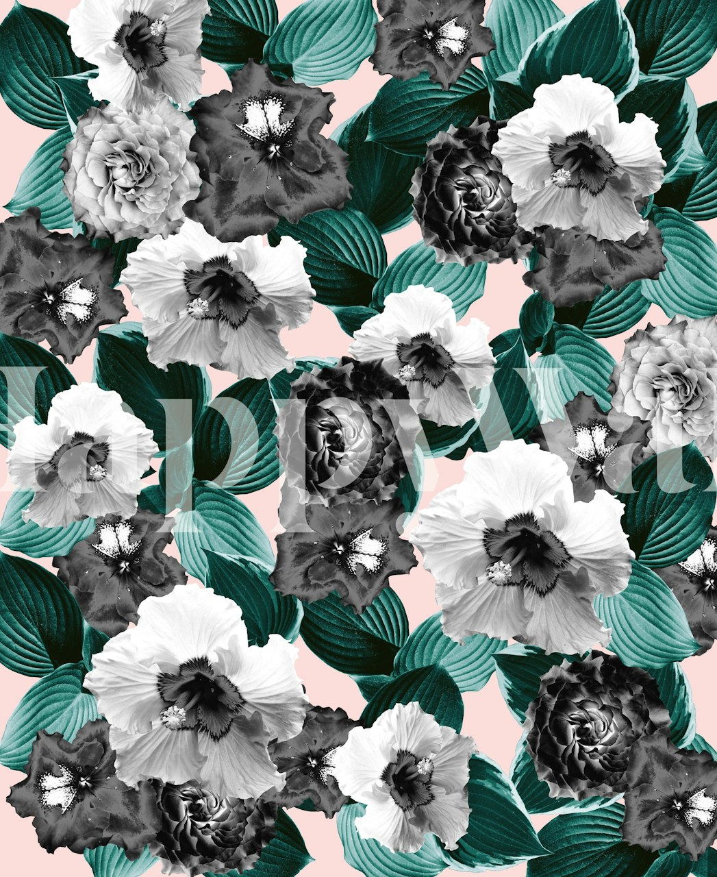 Floral tapet med sorte og hvide blomster