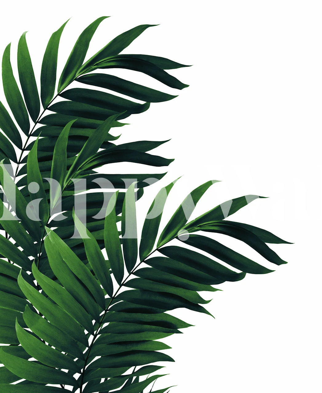 Palm Leaves tapettisuunnittelu huoneessa