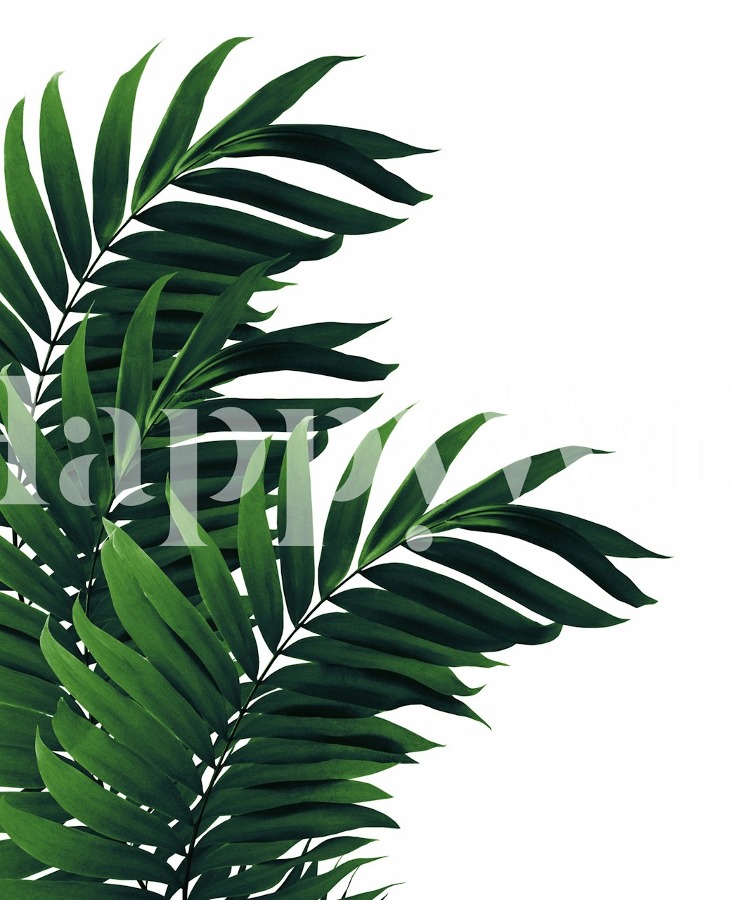 Palm leaves wallpaper design in a room