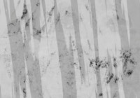 Japandi Wabi Sabi III tapetit