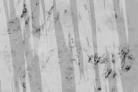 Japandi Wabi Sabi III tapete