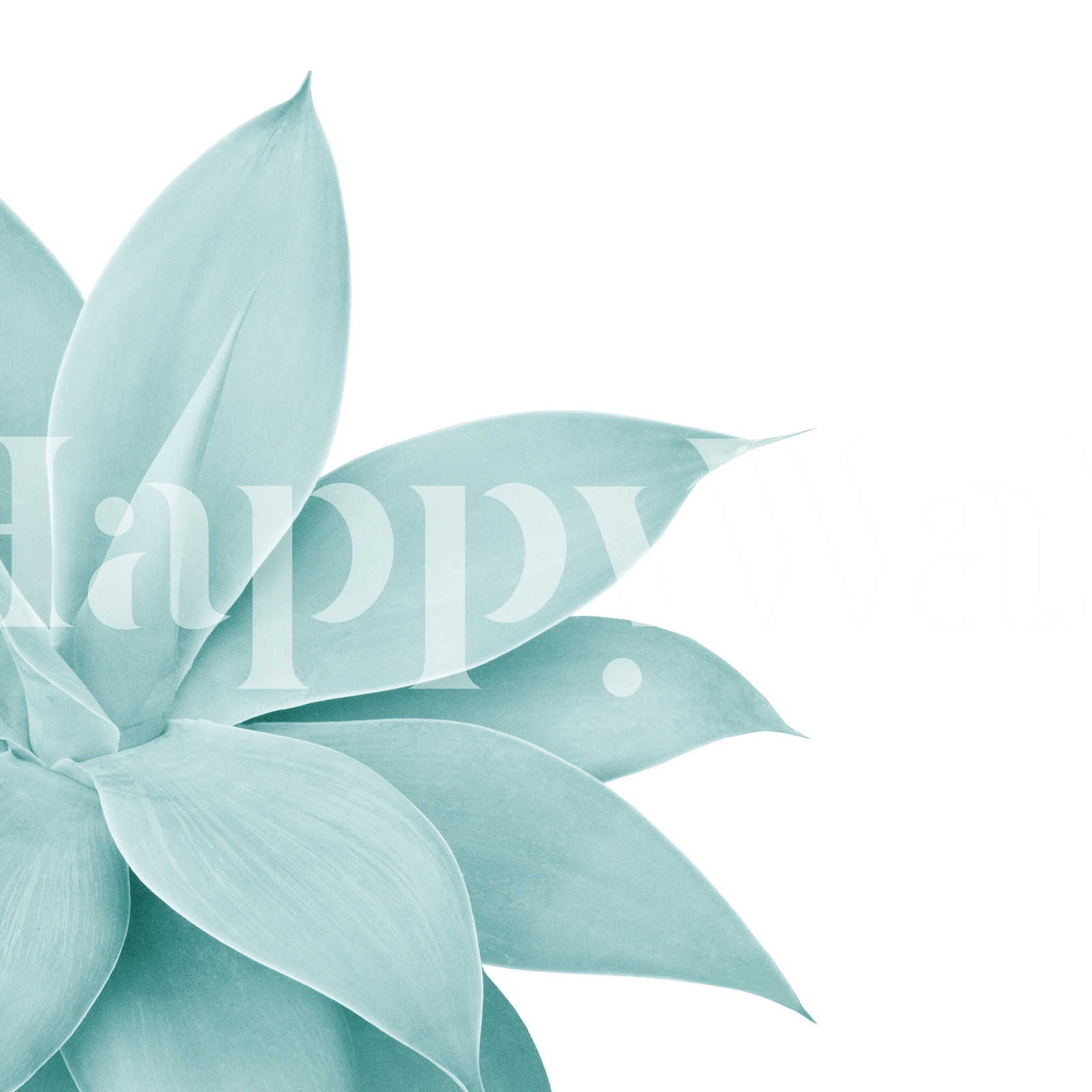 Agave Finesse 8 Wallpaper - Happywall