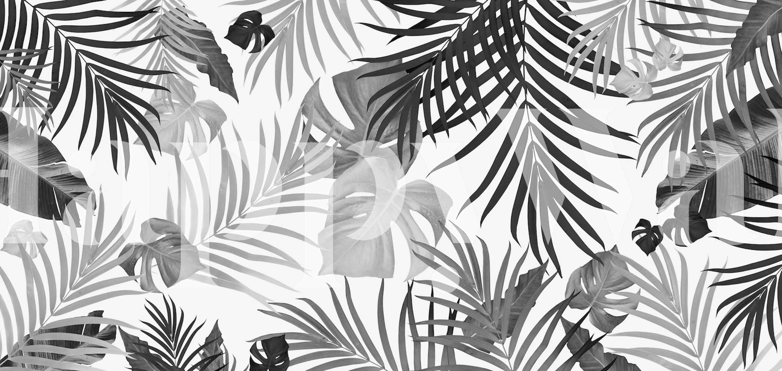Tropical leaves in black and white wallpaper design