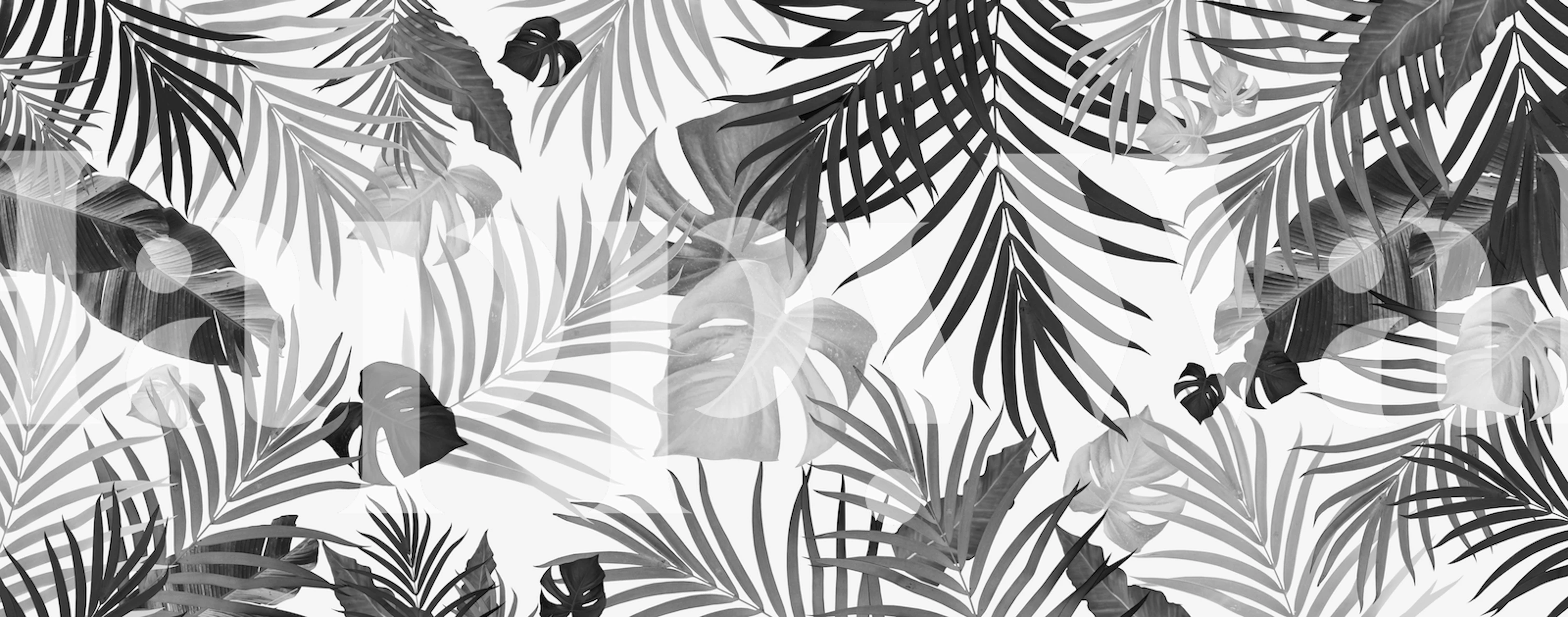 Tropical jungle leaves wallpaper in a room