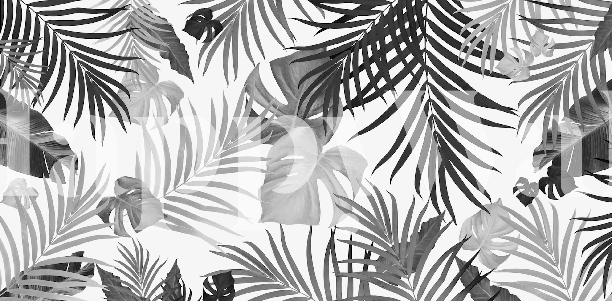 Tropical Jungle Leaves tapet i ett rum