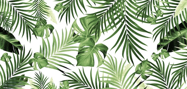 Tropical Jungle Leaves 12 w 1