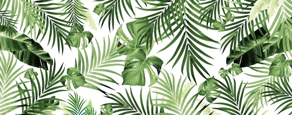 Tropical Jungle Leaves 12 w 2