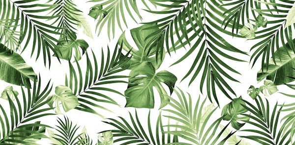 Tropical Jungle Leaves 12 w 3