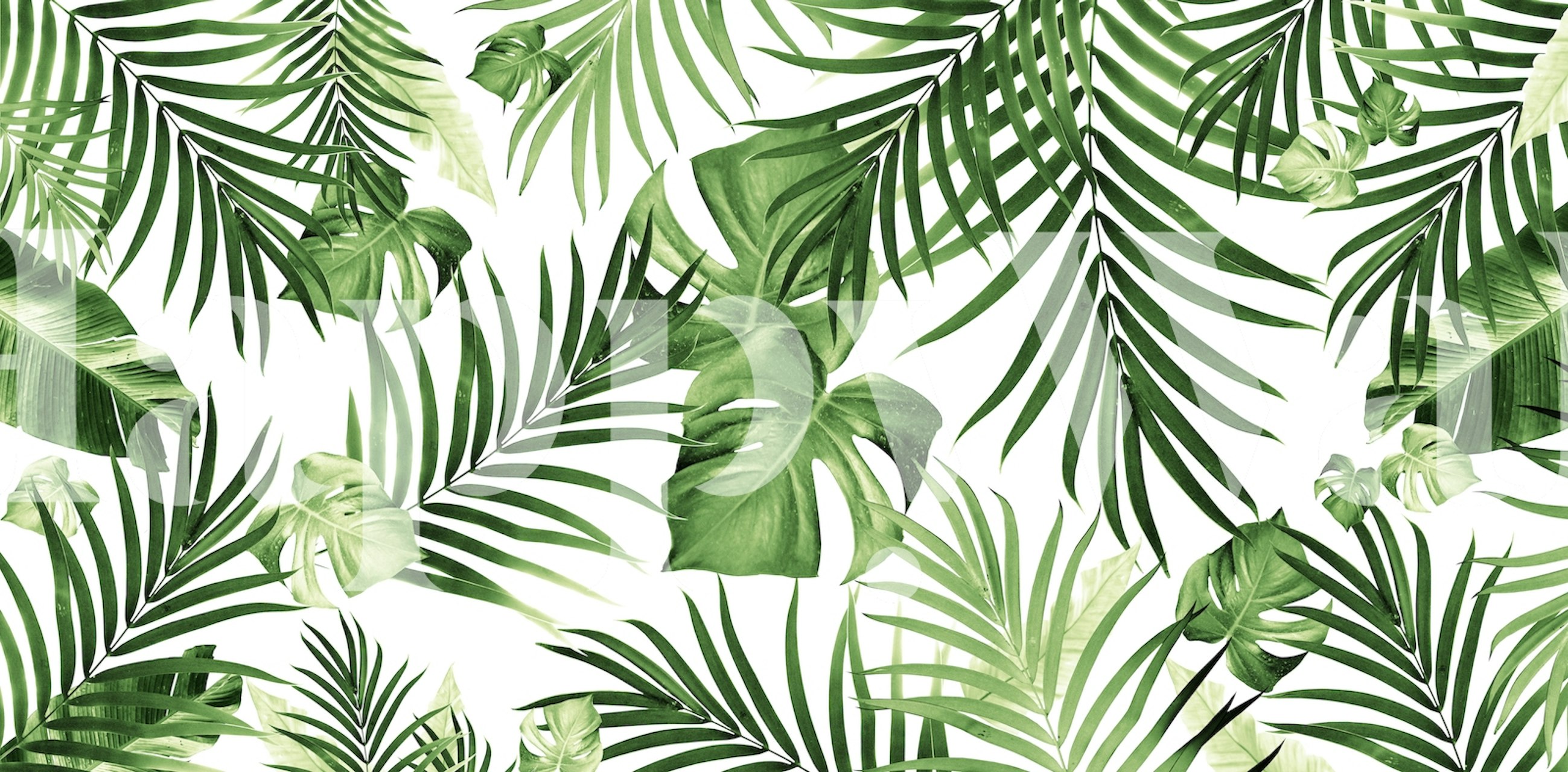 Tropical Jungle Leaves Wallpaper | Happywall