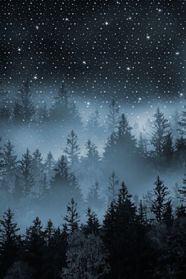 Blue Forest Galaxy Dream 1