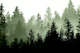 Green Forest Dream 1
