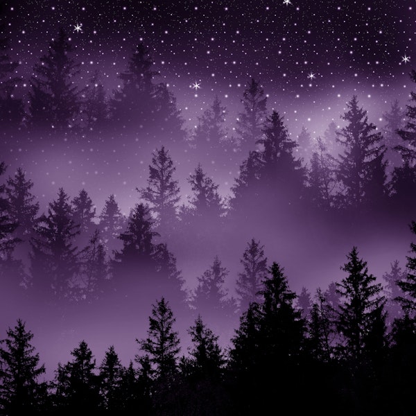 Purple Forest Galaxy Dream 1