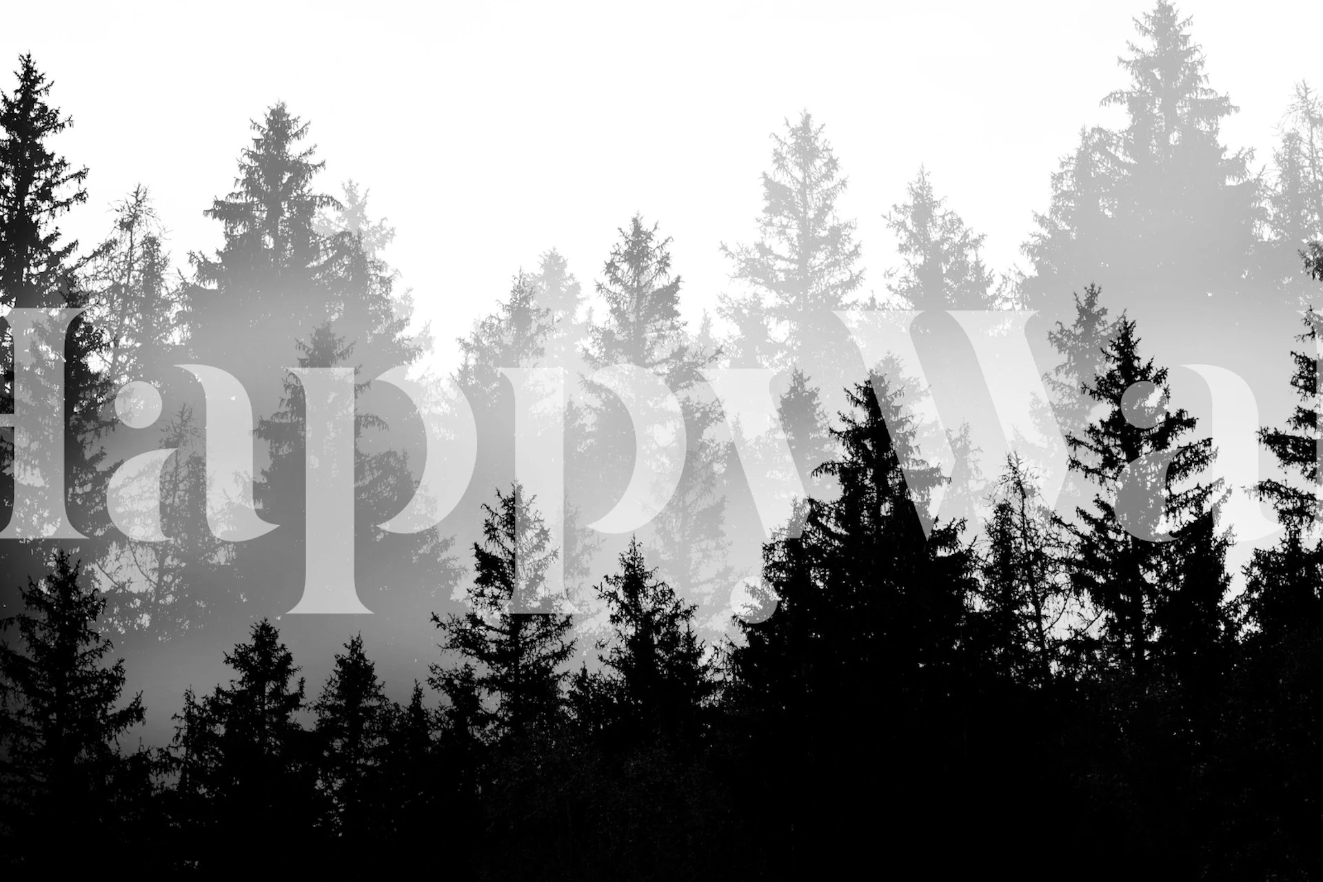 Svart og hvit skogtapet i et rom