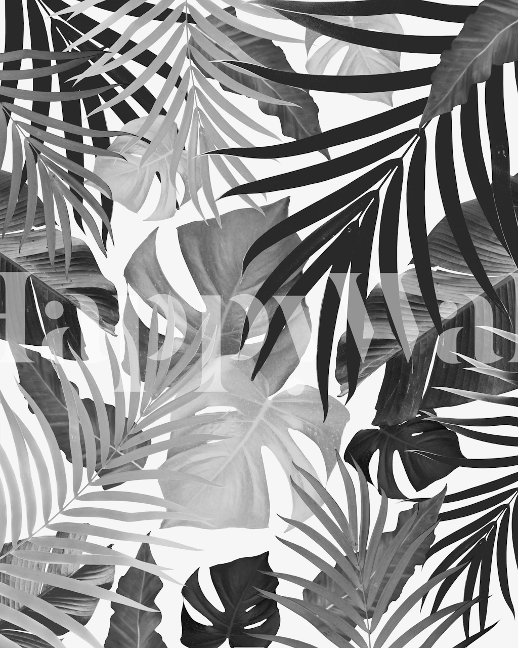 Tropical leaves patterned black and white wallpaper