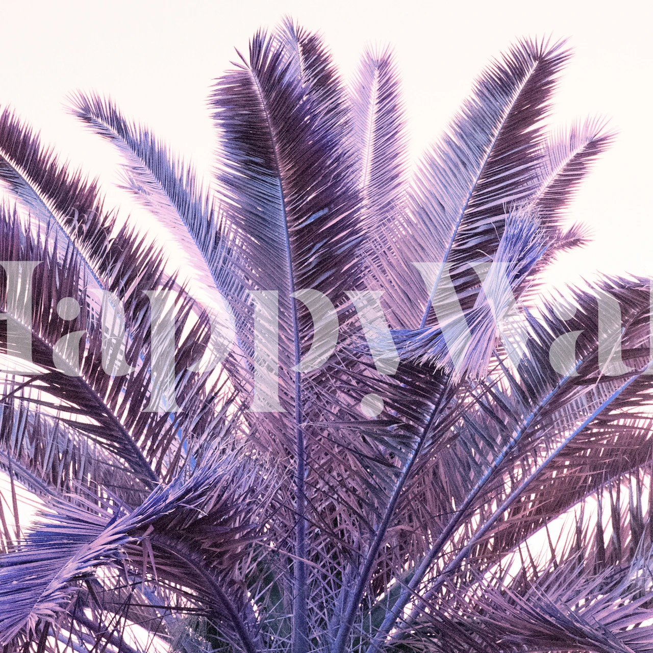 Tropical palm leaves in shades of purple wallpaper