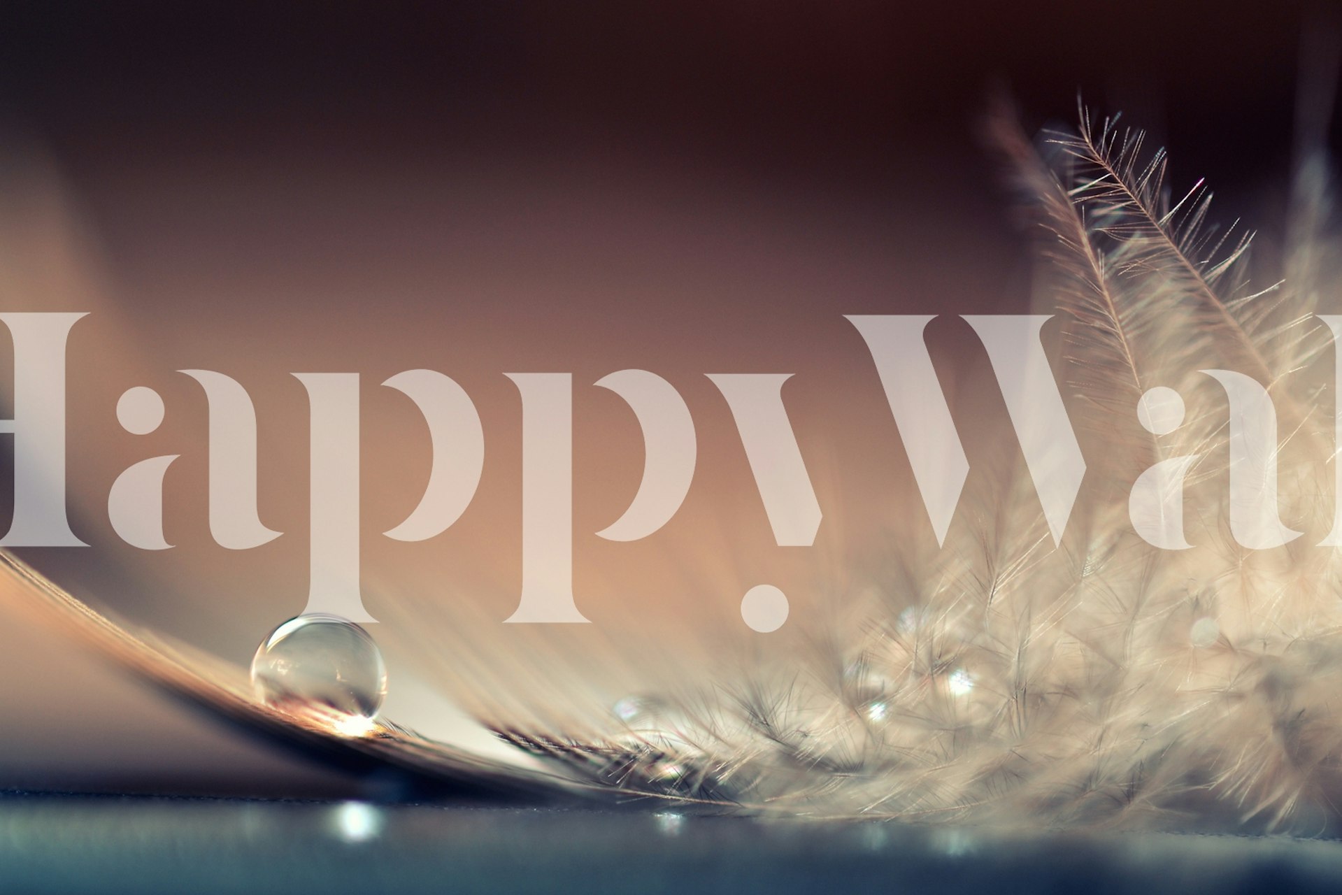 Tapet med bløde fjer og dråber