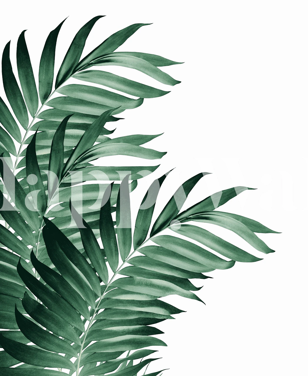 Green tropical palm leaves wallpaper on white background