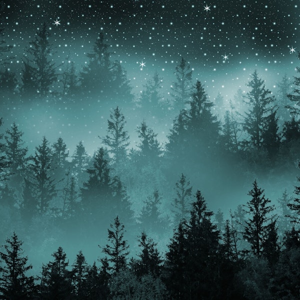 Teal Forest Galaxy Dream 1