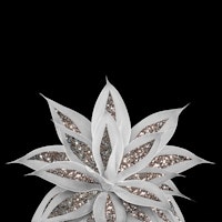 Gray Agave Silver Glitter 1a tapete