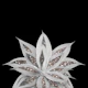 Gray Agave Silver Glitter 1a