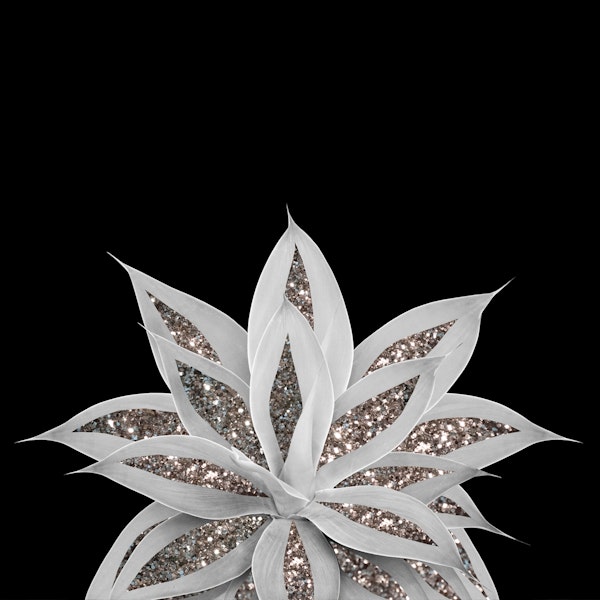 Gray Agave Silver Glitter 1a