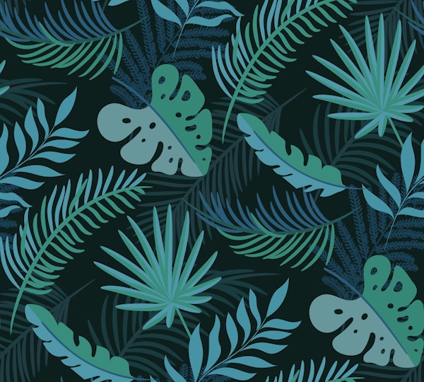 Monstera And Palm Leaf