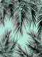 Palm Leaf Jungle Vibes 2