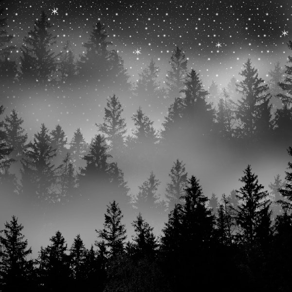 Black White Forest Galaxy 1