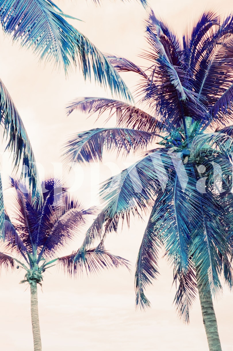 Summer Palm Trees Beach 1 Wallpaper | Happywall