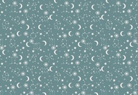 Stars and Constellations Grey papel de parede