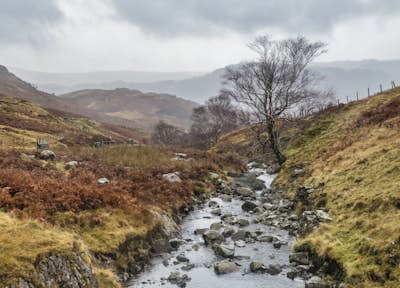 Τοιχογραφία