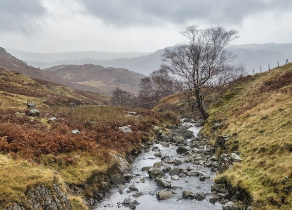 Lake District Impression