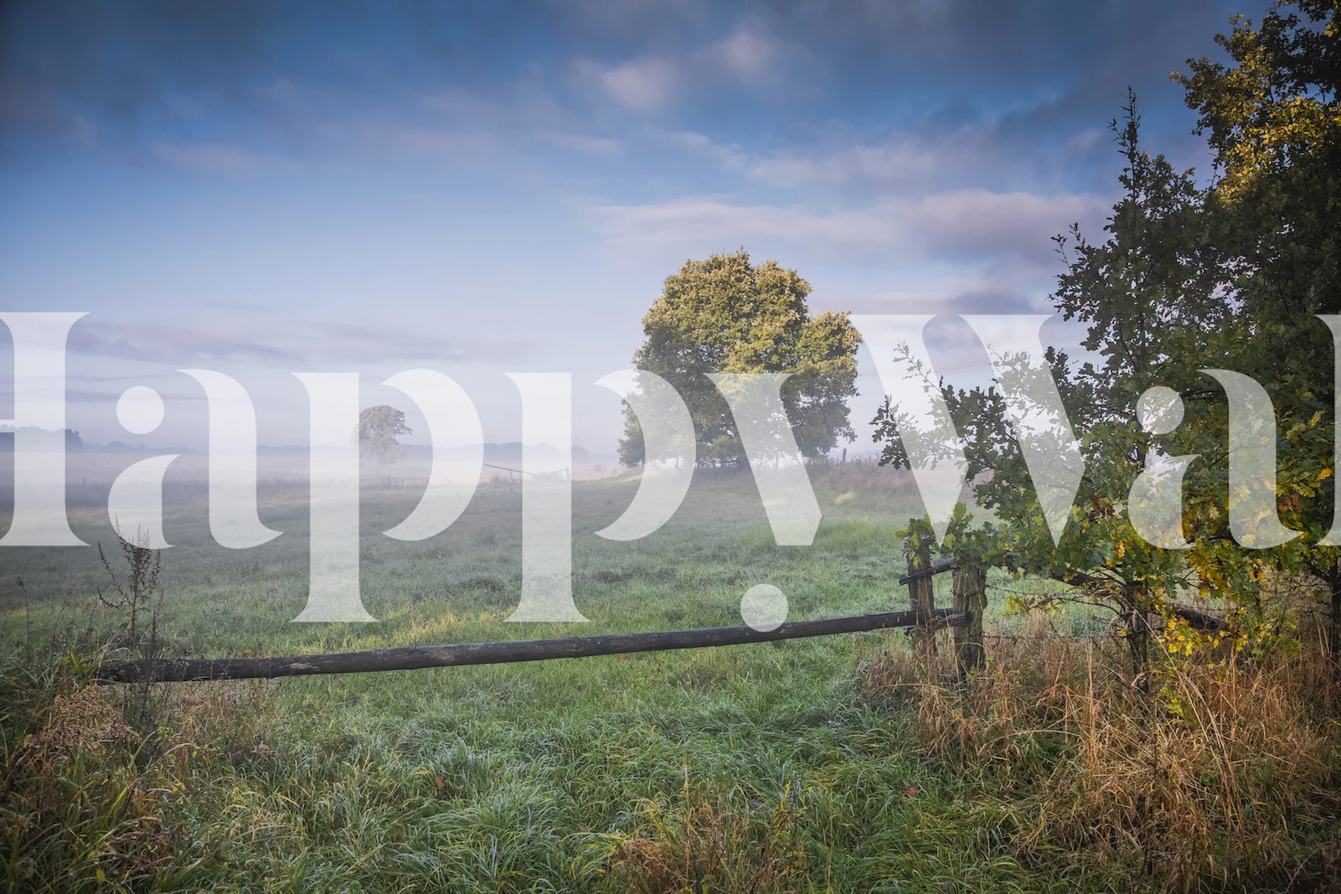 Fototapeta mglista niemiecka wieś z pagórkami i bujną zielenią.