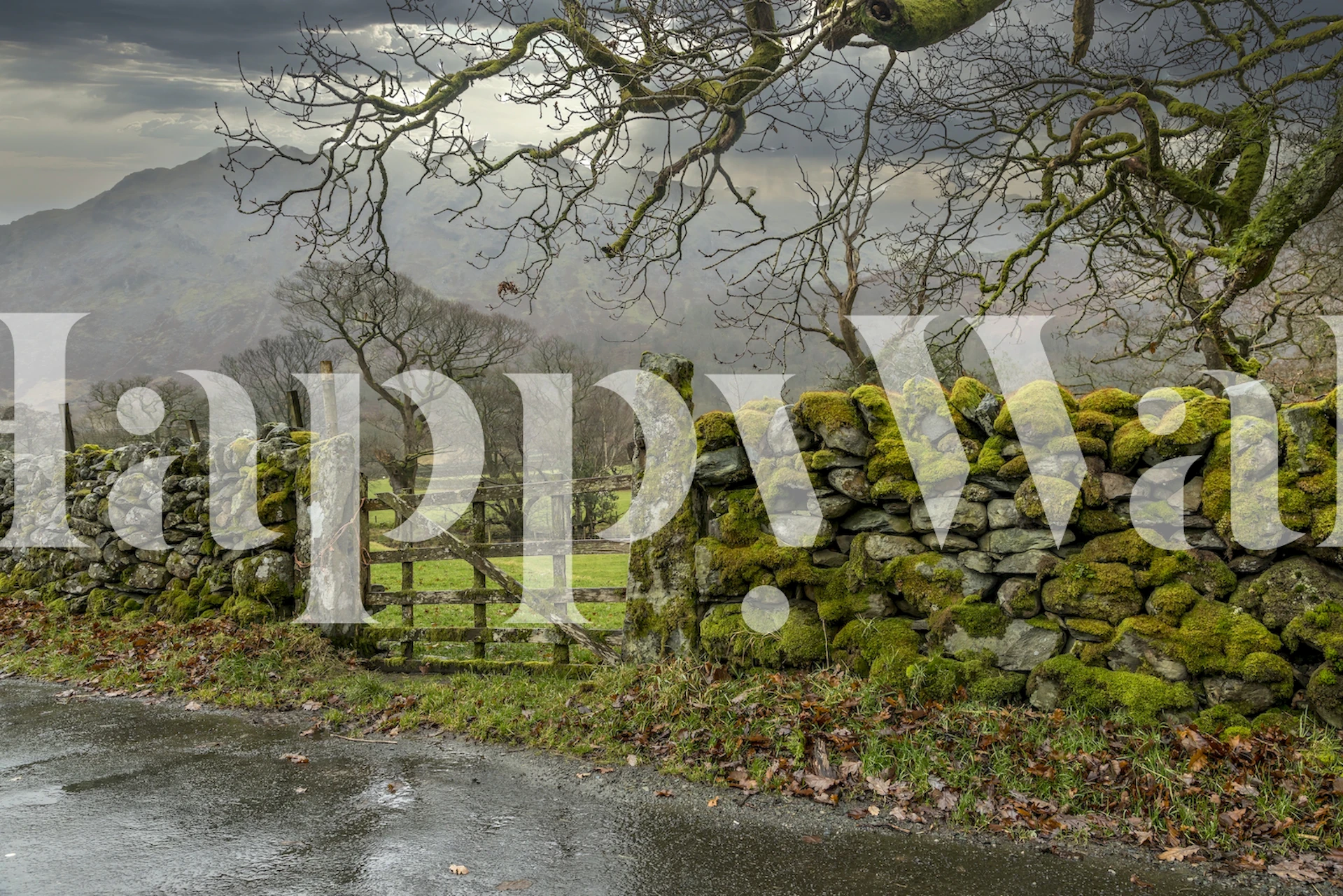 Stone wall with moss and gate, natural scenery wallpaper