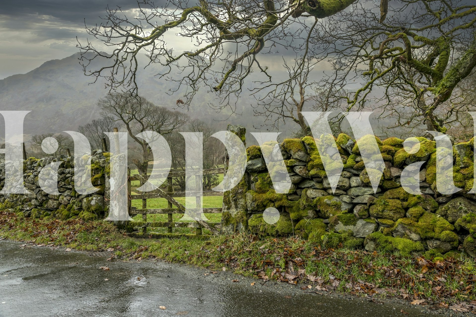 Stone wall with moss and gate, natural scenery wallpaper