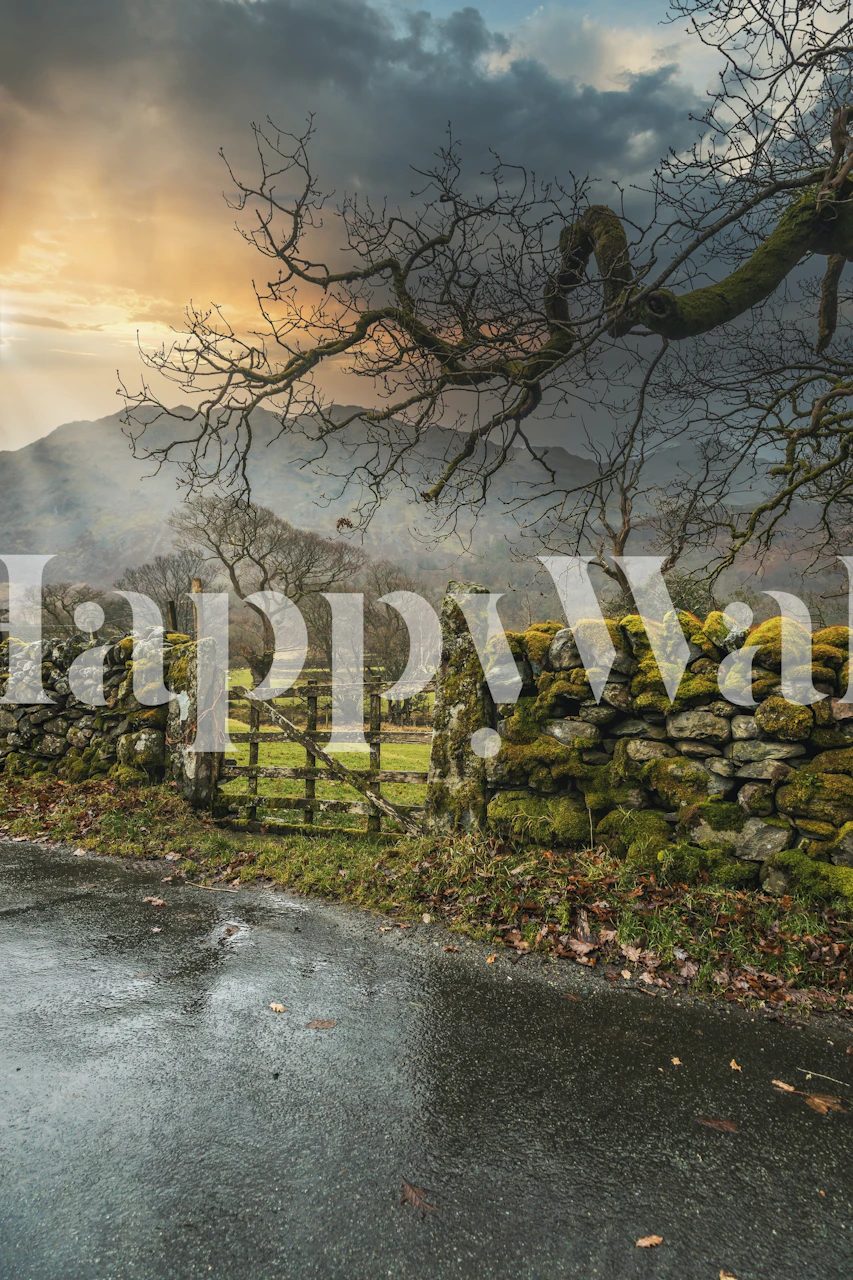 Rustic country road wall mural with stone wall and tree silhouette at sunset