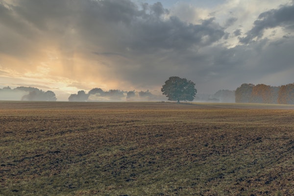 Rural Idyllic Landscape