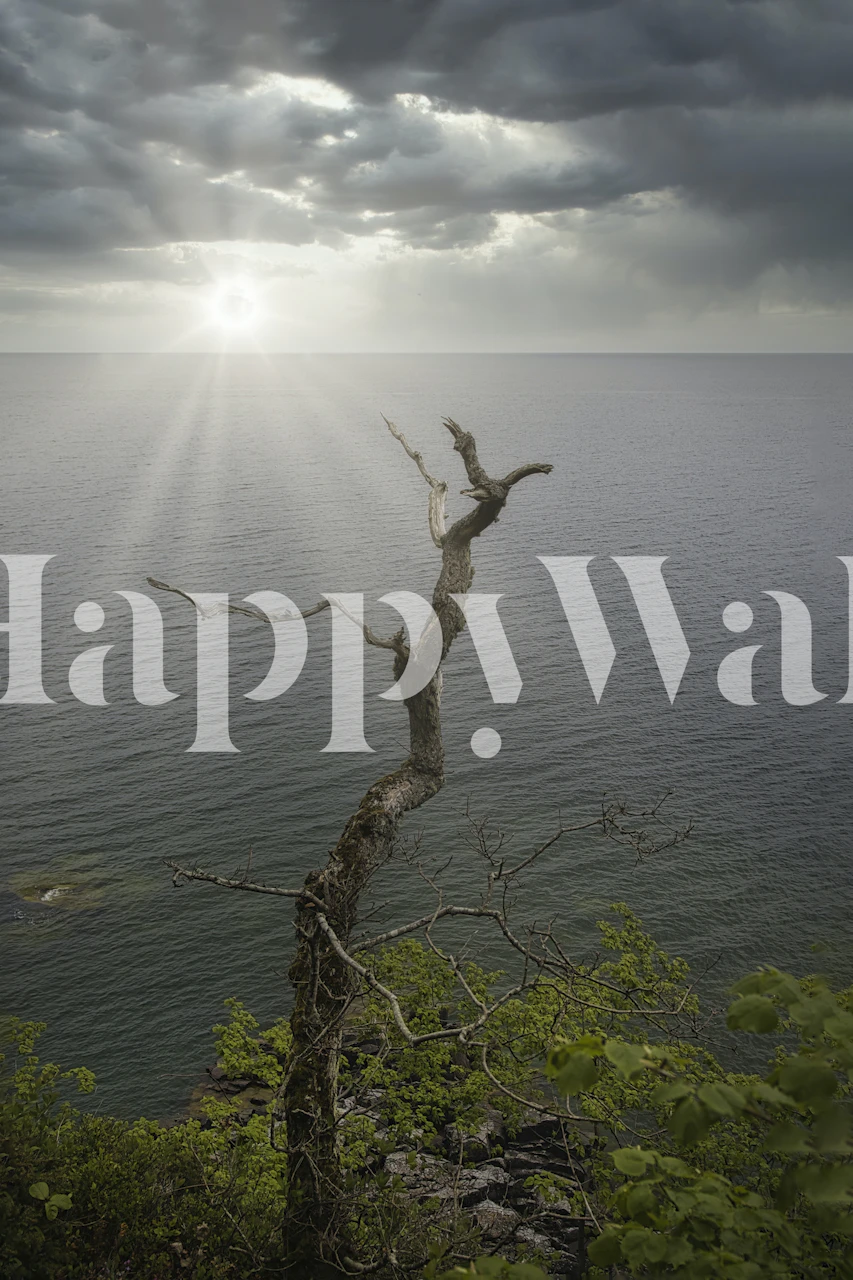 Serene Bornholm Baltic Sea seascape with sunlight and a single tree.