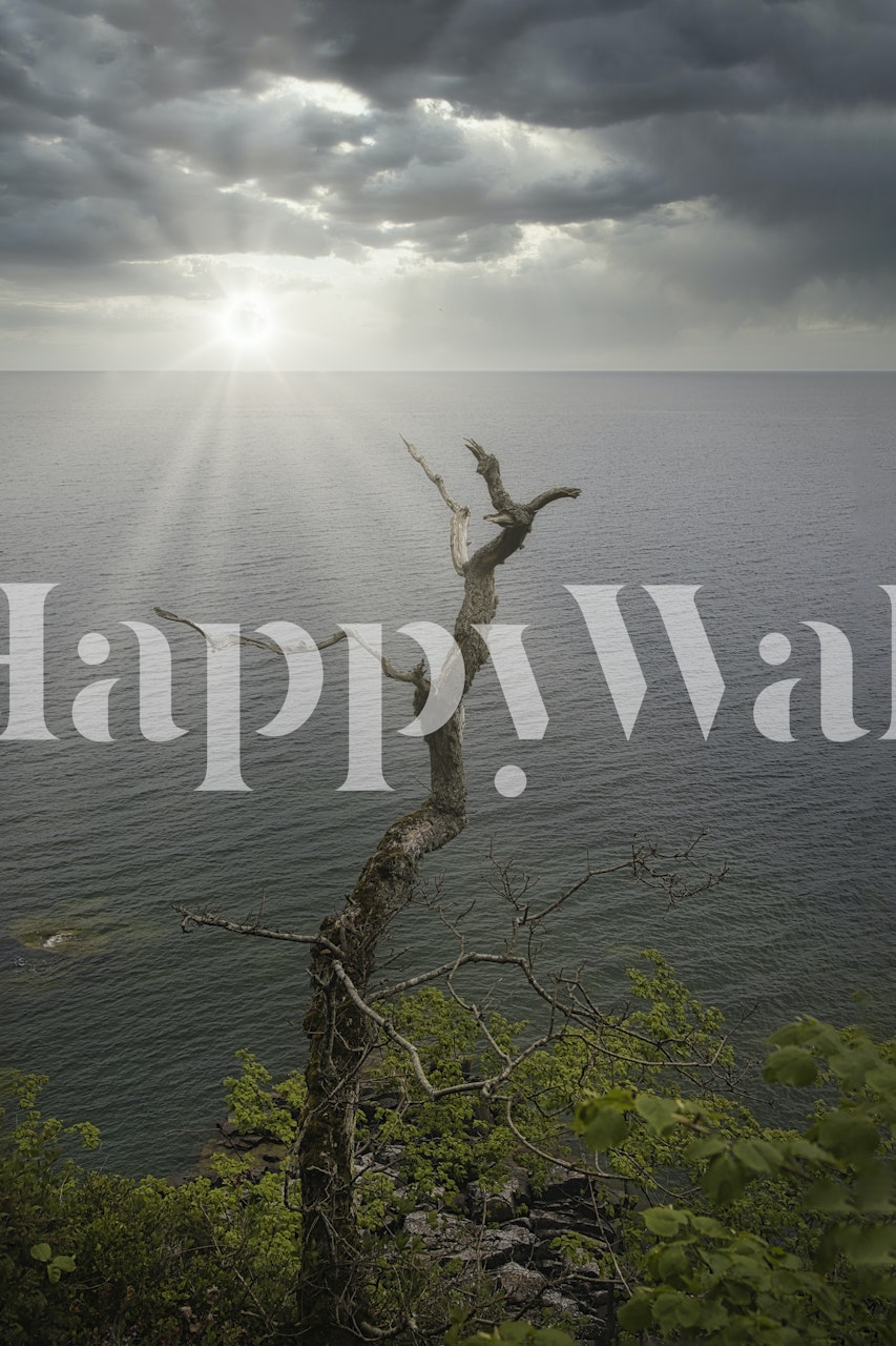 Klidná krajina Bornholm Baltského moře se slunečním světlem a jediným stromem.