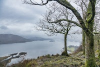 British Lake Misty View ταπετσαρία