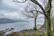 British Lake Misty View