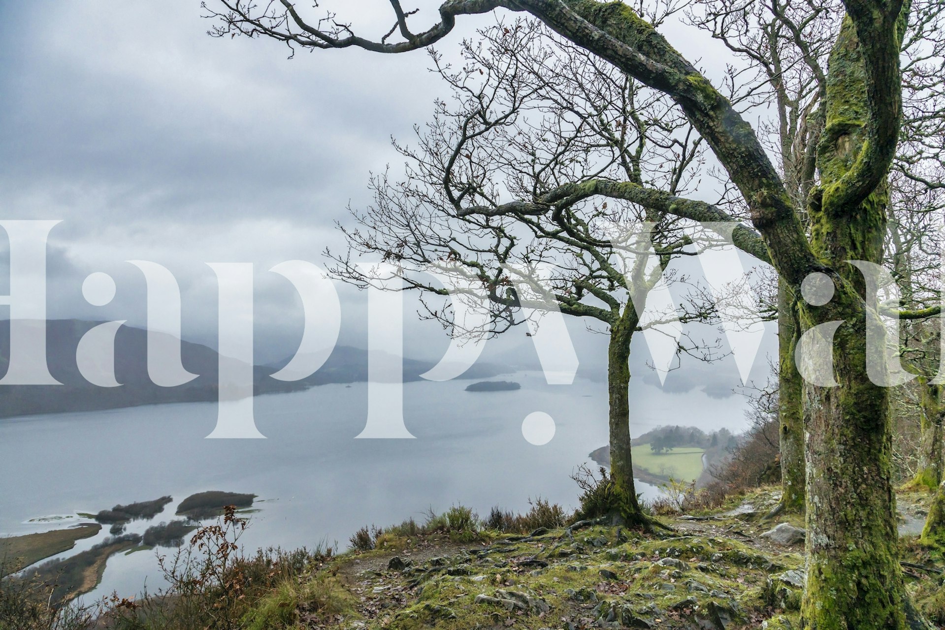 Photo murale vue brumeuse sur le lac avec des arbres nus dans la campagne britannique
