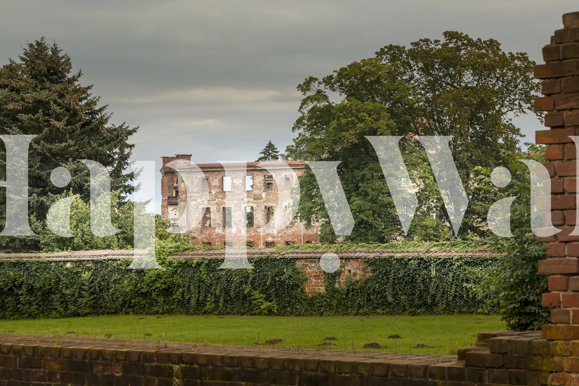 Dargun Convent Ruin tapetti huoneessa