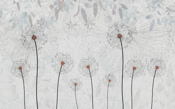 Dandelions on concrete