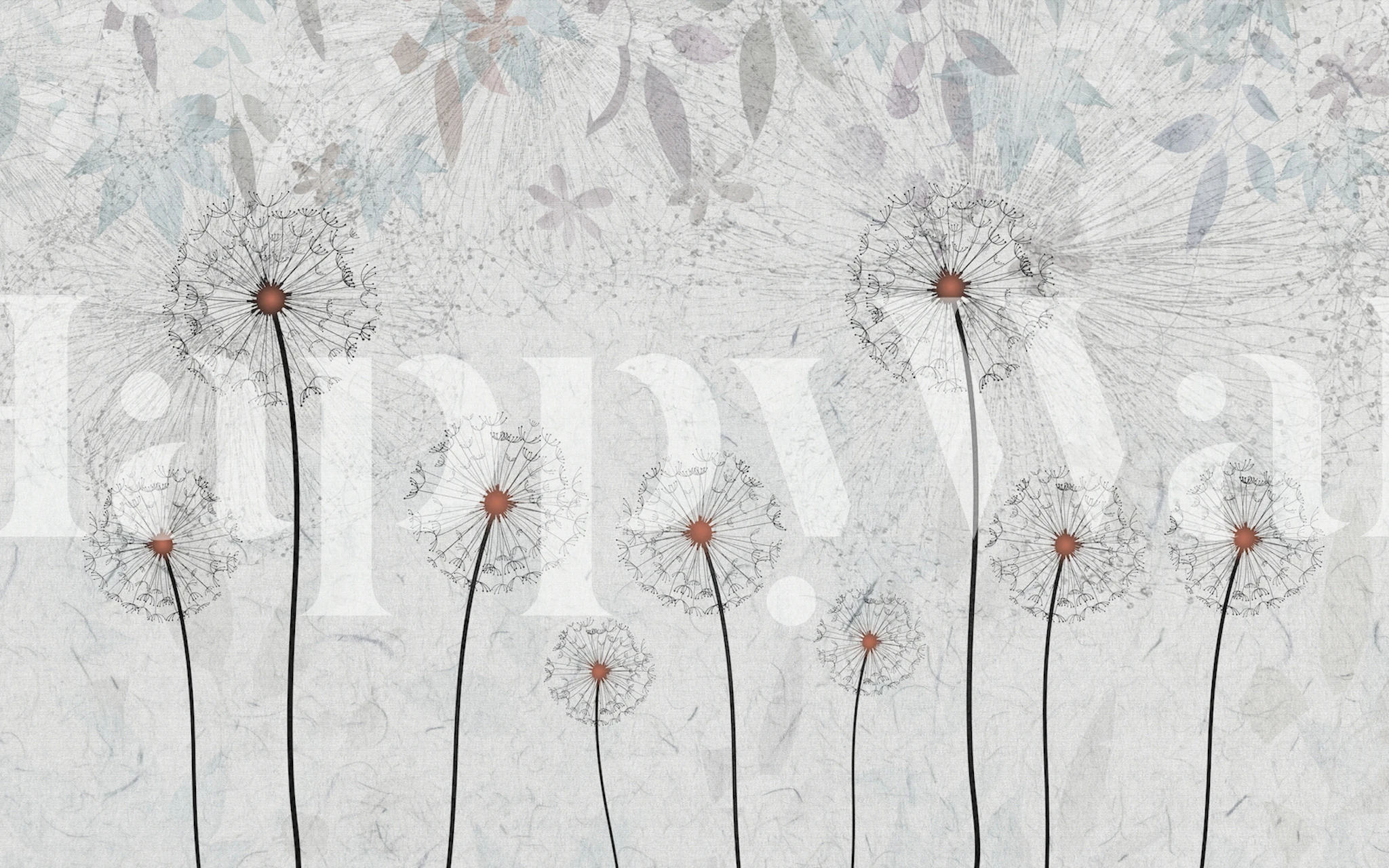 Dandelions on concrete tapetdesign