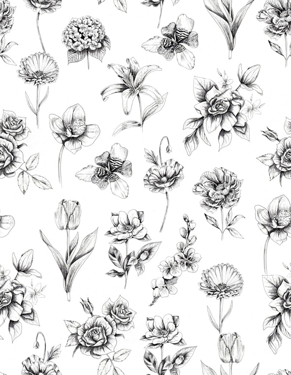Botanic Flowers drawing black and white