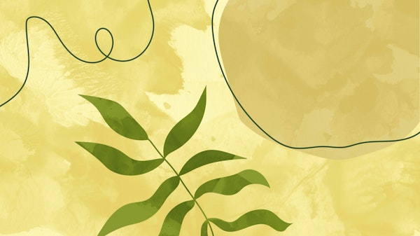 Mid Century Florals V